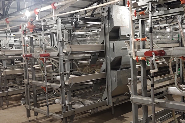 Read more about the article What should be paid attention to when using broiler cage equipment?