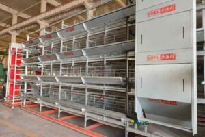 layer cage system
