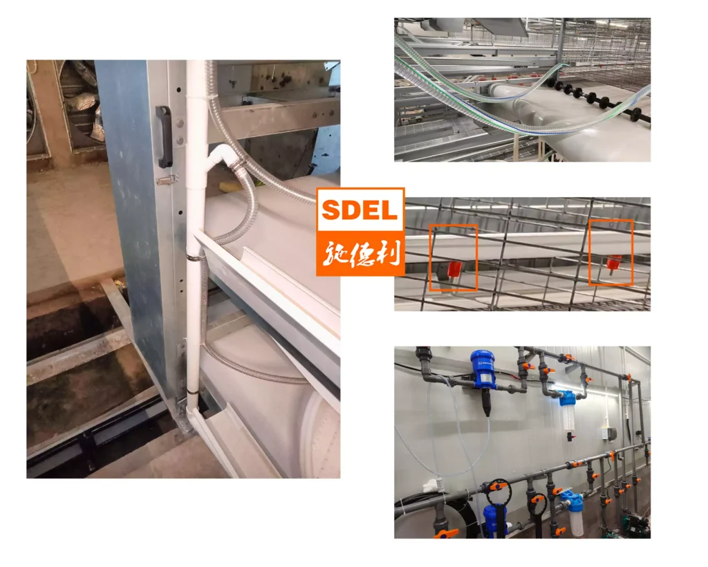 Complete Guide to Layer House Equipment Systems 3 Drinking water system 1
