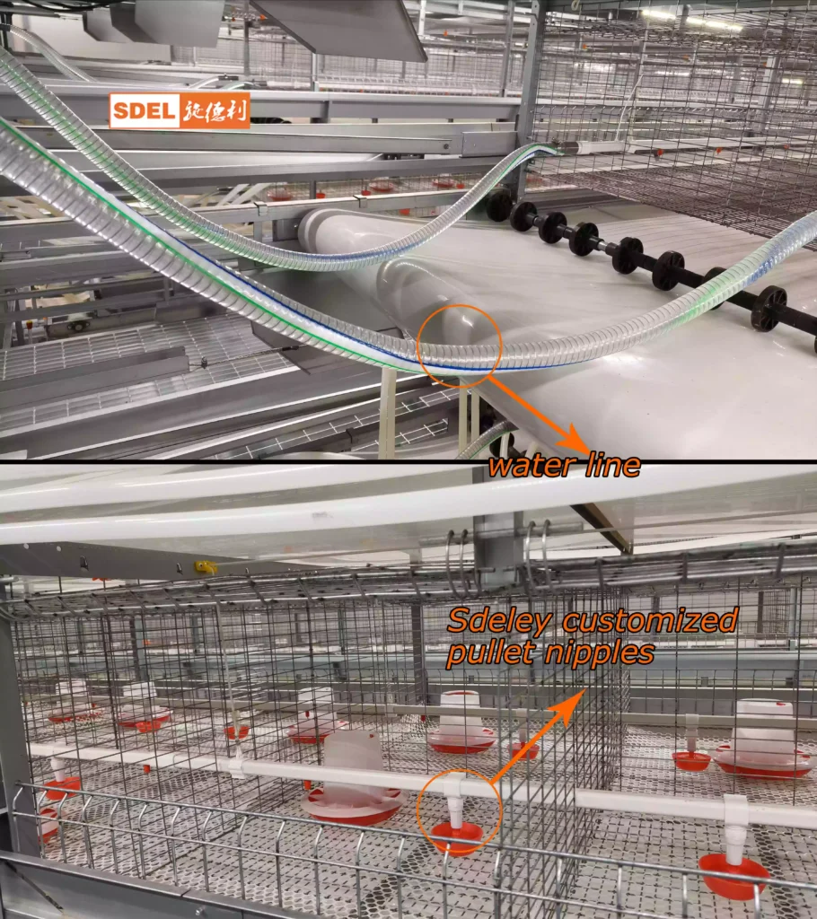 layer cage 11 Drinking water system1 1