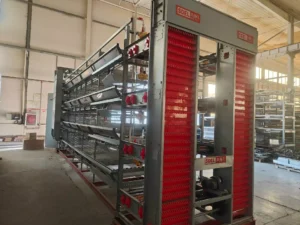 H type layer cage system