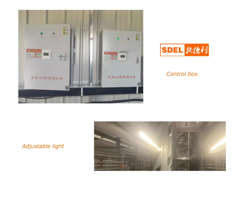 layer cage 7 Illumination system