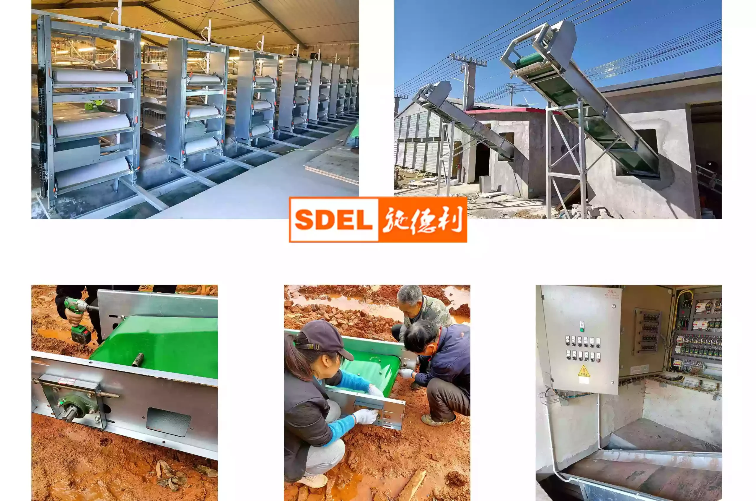 Read more about the article Manure Removal System for Poultry Cage Systems