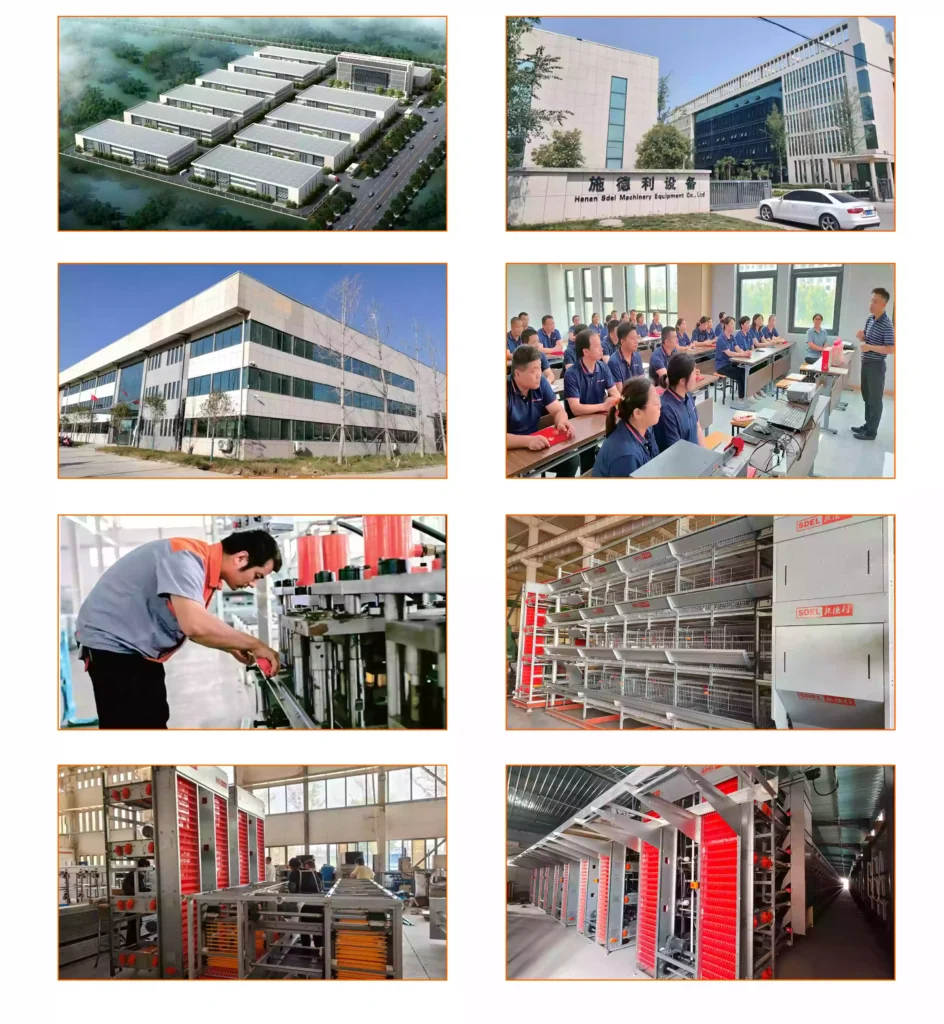 Wholesale layer cage systems-Sdeley is a leading manufacturer in China. 3 Poultry equipment manufacturers in china 1