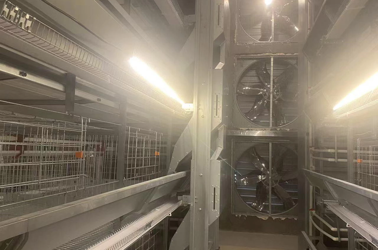 Read more about the article Pre-Layer Cage System Transfer Checklist: Essential Preparations​