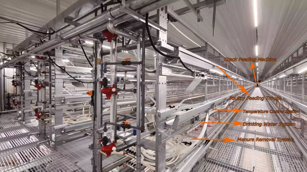 Pullet Cage system 2 Pullet cage system 2