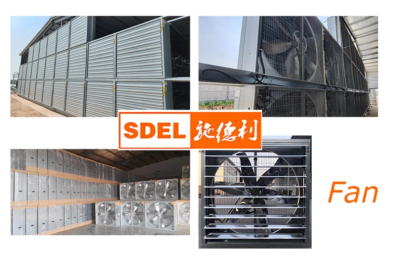 Read more about the article Complete Guide to Ventilation and Cooling Pad System Design for Broiler Farms