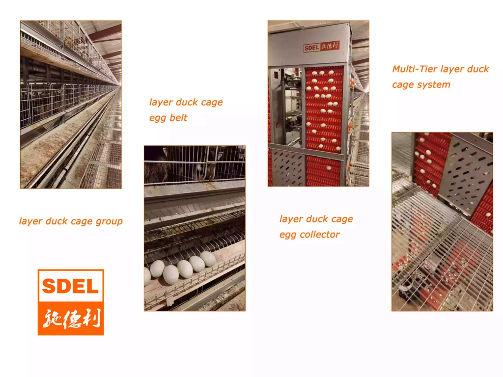 Layer duck cage system 1 layer duck cage system