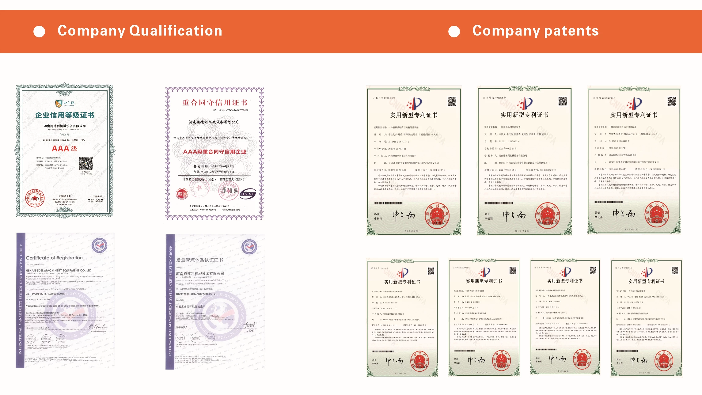 company 6 荣誉3