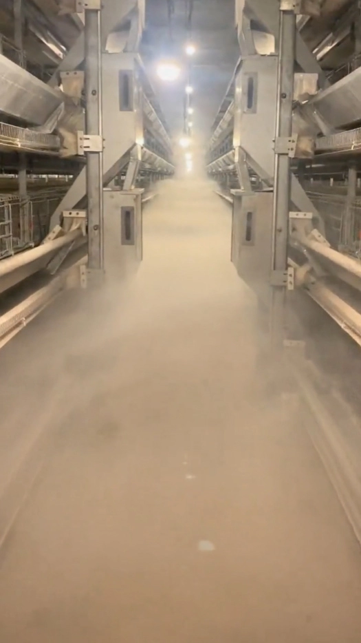 Disinfection