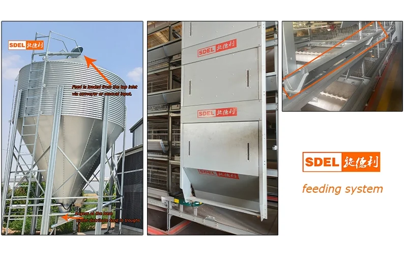 Commercial poultry equipment suppliers 2 feeding system 3 edited
