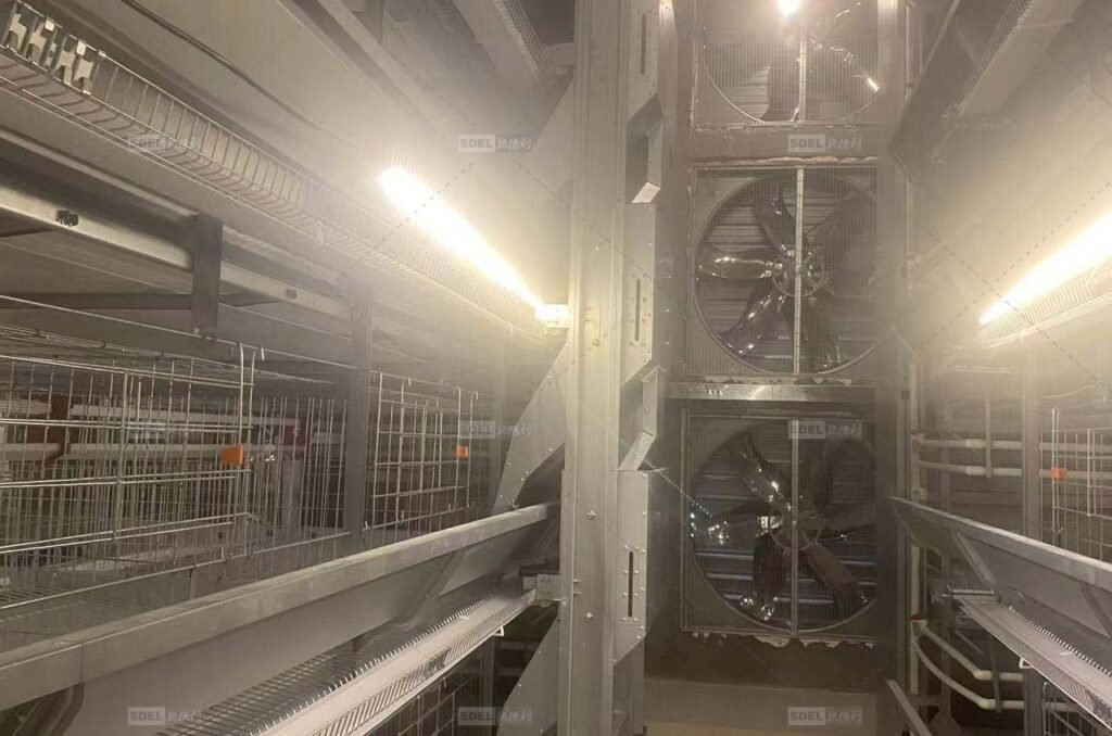 Key Breeding and Management Technology in Automatic Poultry Farms 3 lighting1
