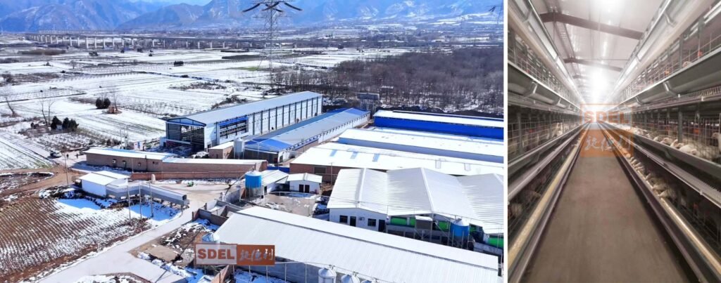 poultry farm case