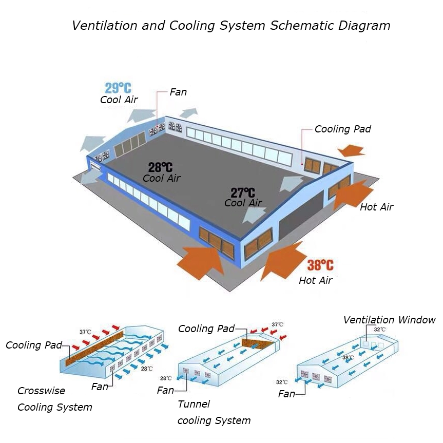 The 6-Point Blueprint for how to be a successful poultry farmer 3 Ventilation and Cooling System Schematic Diagram