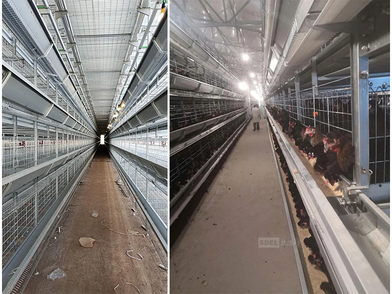 layer cage system1