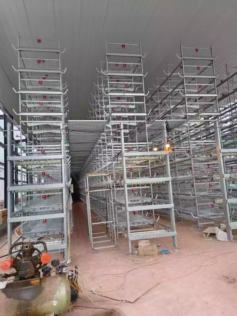 automatic poultry farm
