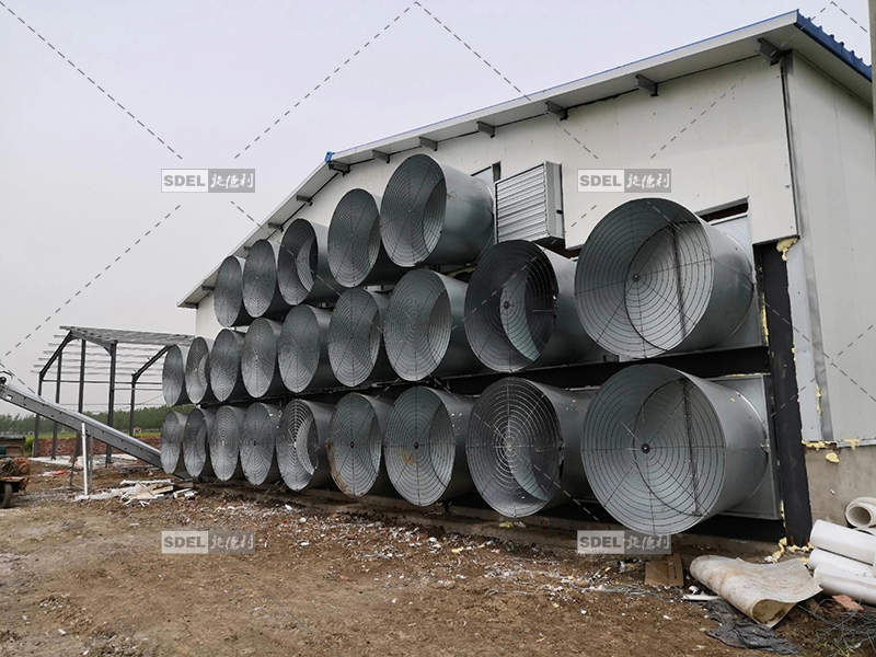 Lighting and Ventilation for Automated Battery cage 2 fan1