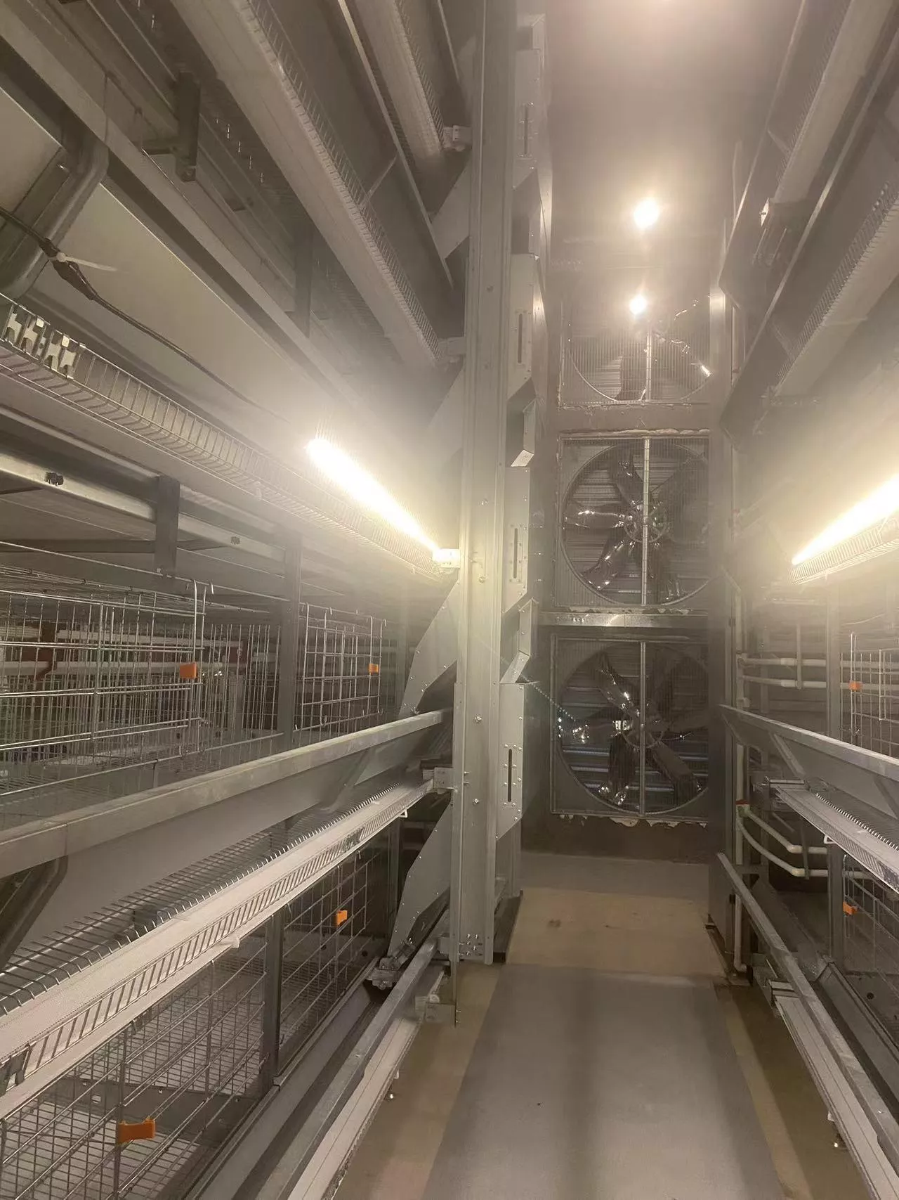 Read more about the article Lighting and Ventilation for Automated Battery cage