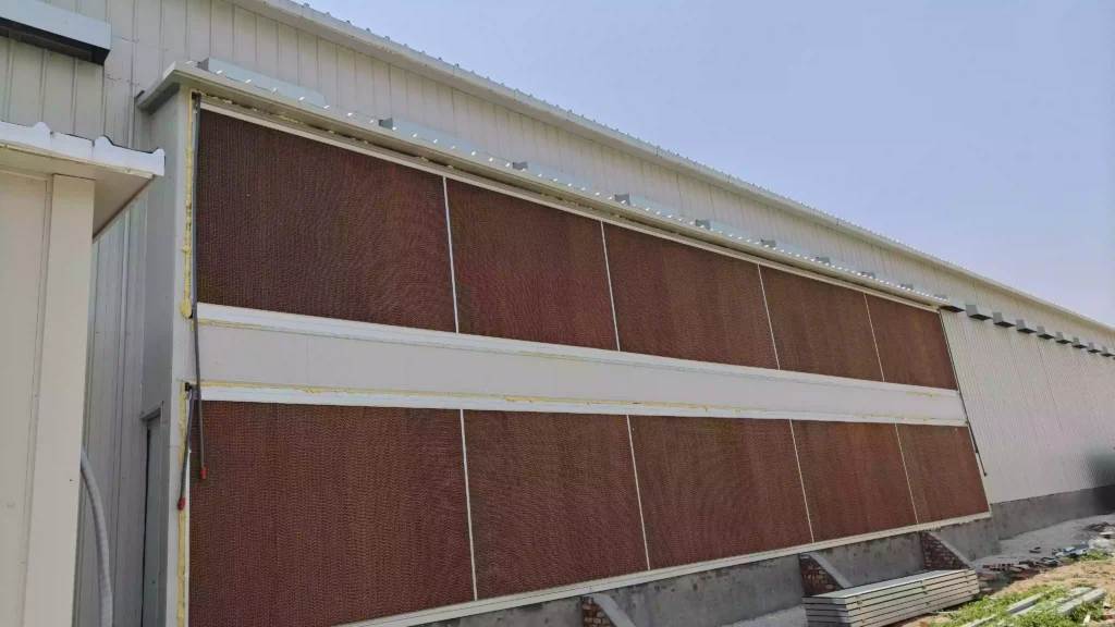 Strategic Cooling Management for Cage Farming Chickens