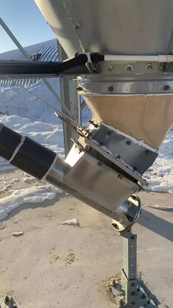 Automatic Chicken Feeding