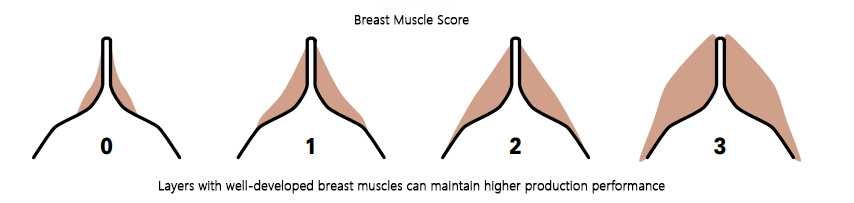 微信图片 2026 03 18 135138 979