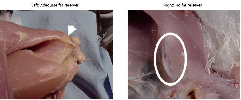 微信图片 2026 03 18 135205 378