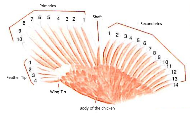 微信图片 2026 03 18 135210 483