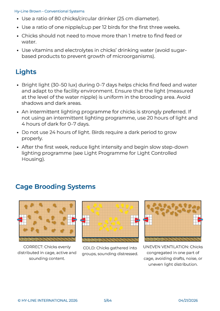 Hy Line Brown Conventional Systems English 页面 05