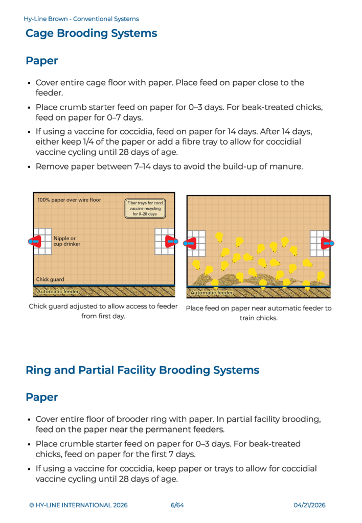 Hy Line Brown Conventional Systems English 页面 06