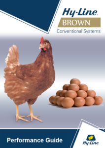 Hy-Line Brown Management
