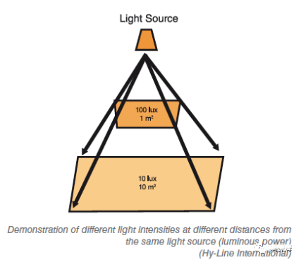 Illuminating Poultry Battery Cage: A Guide to Light Measurement & LED Lighting 3 640 1 1