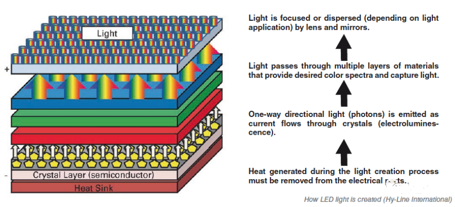 Illuminating Poultry Battery Cage: A Guide to Light Measurement & LED Lighting 4 640 2