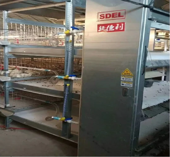 Broiler cage project