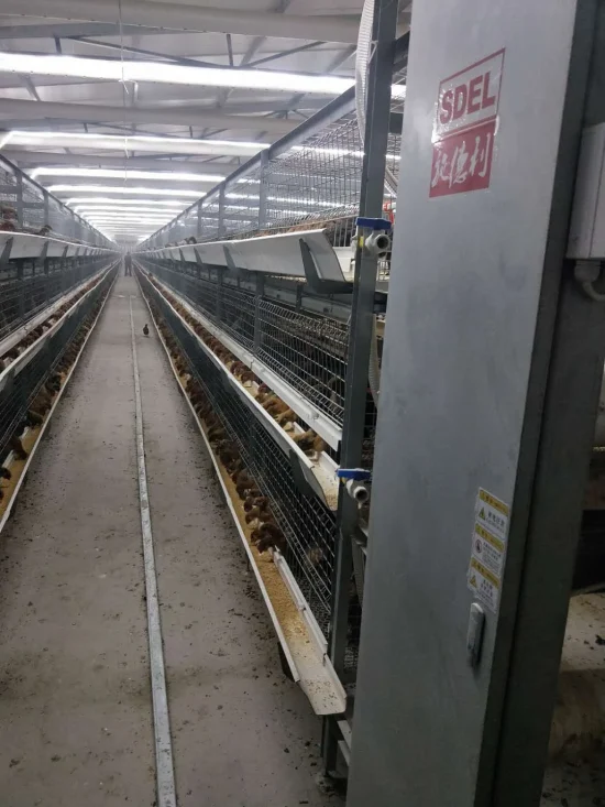 Broiler cage system