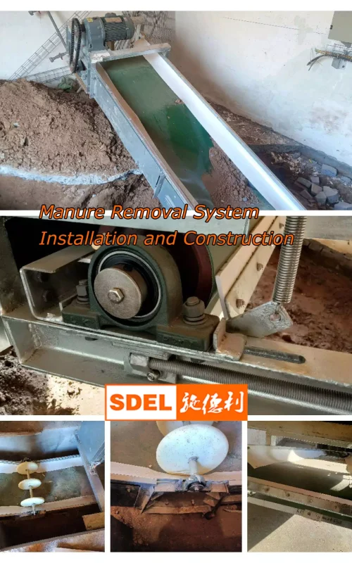 Manure Removal System Installation and Construction